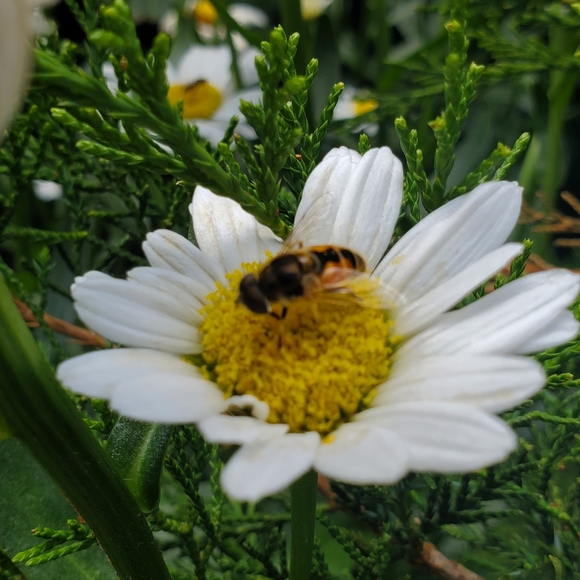 All you need in one place, shoes, clothes, skincare,makeups, pets, home goods - Picture 2 of 2